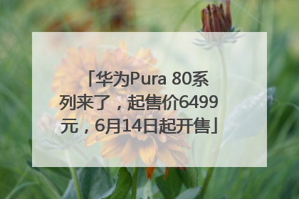 华为Pura 80系列来了，起售价6499元，6月14日起开售