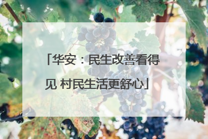华安：民生改善看得见 村民生活更舒心