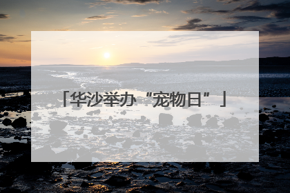华沙举办“宠物日”