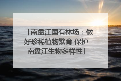 南盘江国有林场：做好珍稀植物繁育 保护南盘江生物多样性