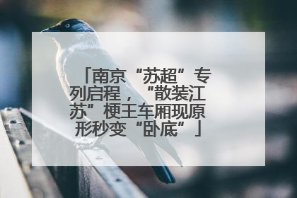 南京“苏超”专列启程，“散装江苏”梗王车厢现原形秒变“卧底”