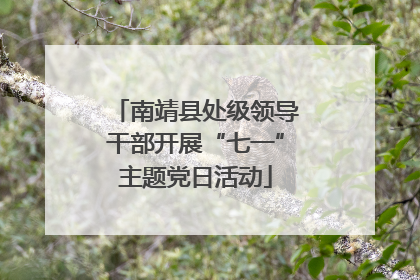 南靖县处级领导干部开展“七一”主题党日活动