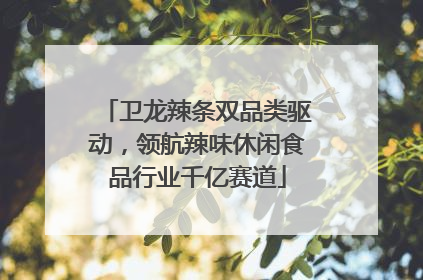 卫龙辣条双品类驱动，领航辣味休闲食品行业千亿赛道