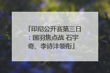 印尼公开赛第三日：国羽焦点战 石宇奇、李诗沣领衔