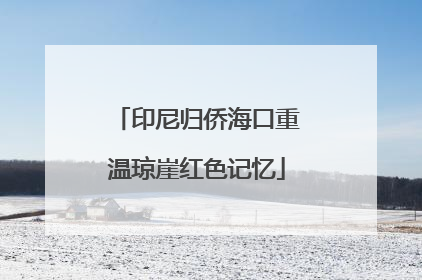 印尼归侨海口重温琼崖红色记忆