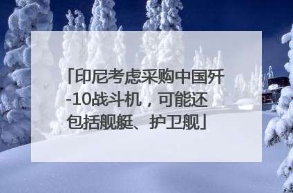 印尼考虑采购中国歼-10战斗机，可能还包括舰艇、护卫舰