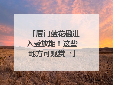 厦门蓝花楹进入盛放期！这些地方可观赏→