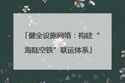 健全设施网络：构建“海陆空铁”联运体系