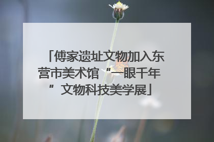 傅家遗址文物加入东营市美术馆“一眼千年”文物科技美学展