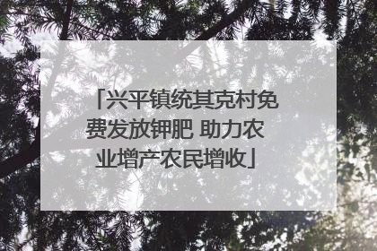 兴平镇统其克村免费发放钾肥 助力农业增产农民增收