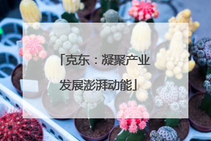克东：凝聚产业发展澎湃动能