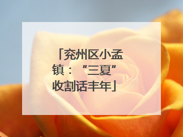兖州区小孟镇：“三夏”收割话丰年