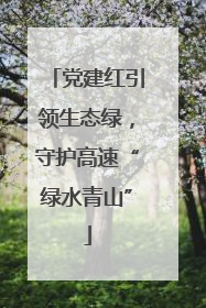 党建红引领生态绿，守护高速“绿水青山”