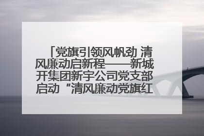 党旗引领风帆劲 清风廉动启新程——新城开集团新宇公司党支部启动“清风廉动党旗红”系列活动