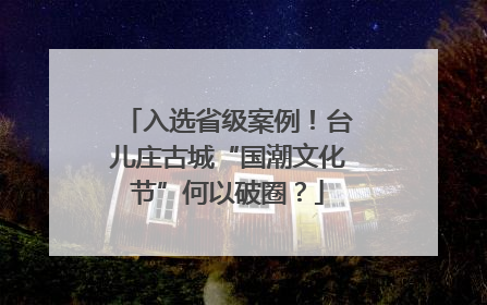 入选省级案例！台儿庄古城“国潮文化节”何以破圈？