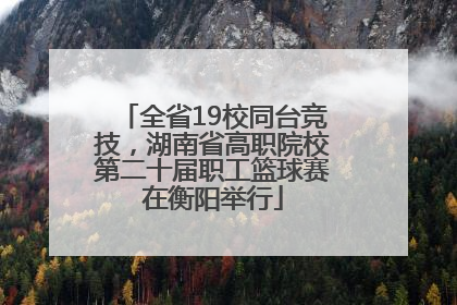 全省19校同台竞技，湖南省高职院校第二十届职工篮球赛在衡阳举行