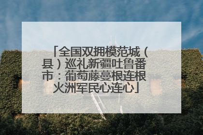 全国双拥模范城（县）巡礼新疆吐鲁番市：葡萄藤蔓根连根 火洲军民心连心