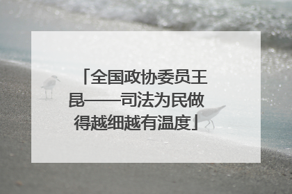 全国政协委员王昆——司法为民做得越细越有温度