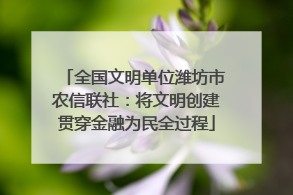 全国文明单位潍坊市农信联社：将文明创建贯穿金融为民全过程