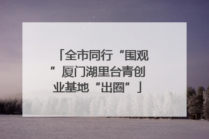 全市同行“围观”厦门湖里台青创业基地“出圈”