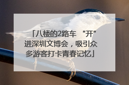 八楼的2路车 “开” 进深圳文博会，吸引众多游客打卡青春记忆