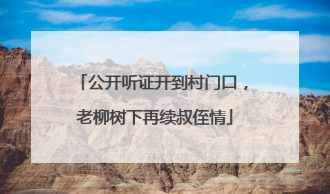 公开听证开到村门口，老柳树下再续叔侄情