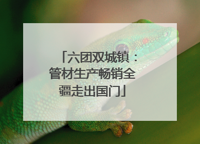 六团双城镇：管材生产畅销全疆走出国门