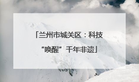 兰州市城关区：科技“唤醒”千年非遗