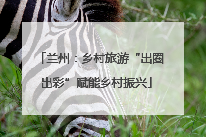 兰州：乡村旅游“出圈出彩”赋能乡村振兴