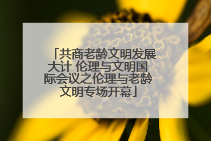 共商老龄文明发展大计 伦理与文明国际会议之伦理与老龄文明专场开幕