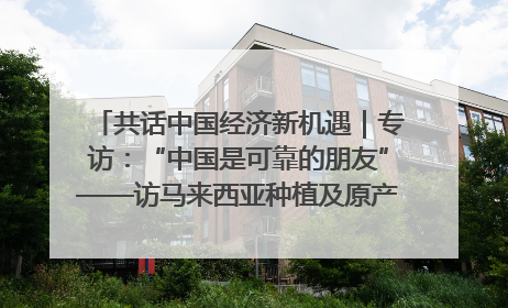 共话中国经济新机遇｜专访：“中国是可靠的朋友”——访马来西亚种植及原产业部副部长陈泓缣