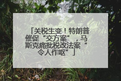 关税生变！特朗普催促“交方案”，马斯克痛批税改法案“令人作呕”