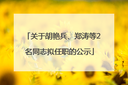 关于胡艳兵、郑涛等2名同志拟任职的公示