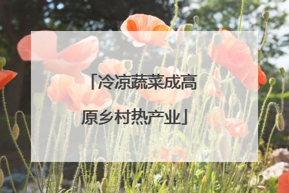 冷凉蔬菜成高原乡村热产业