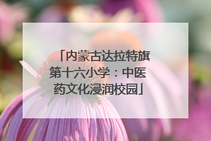 内蒙古达拉特旗第十六小学：中医药文化浸润校园