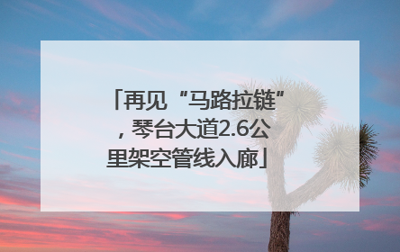 再见“马路拉链”，琴台大道2.6公里架空管线入廊