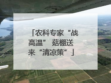 农科专家“战高温” 菇棚送来“清凉策”