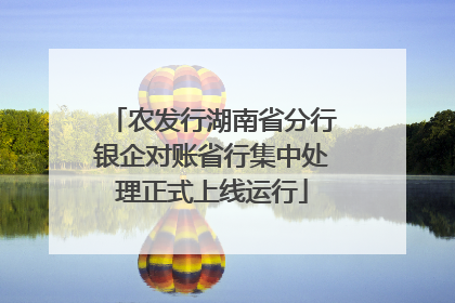 农发行湖南省分行银企对账省行集中处理正式上线运行