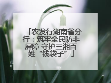 农发行湖南省分行：筑牢全民防非屏障 守护三湘百姓“钱袋子”