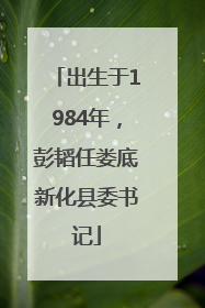 出生于1984年，彭韬任娄底新化县委书记