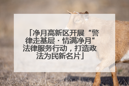 净月高新区开展“警律走基层・情满净月”法律服务行动，打造政法为民新名片