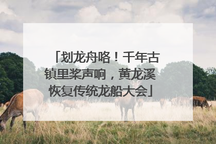 划龙舟咯！千年古镇里桨声响，黄龙溪恢复传统龙船大会