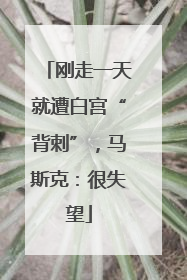 刚走一天就遭白宫“背刺”，马斯克：很失望