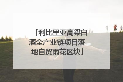 利比里亚高粱白酒全产业链项目落地自贸雨花区块