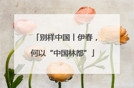 别样中国丨伊春，何以“中国林都”
