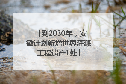 到2030年，安徽计划新增世界灌溉工程遗产1处