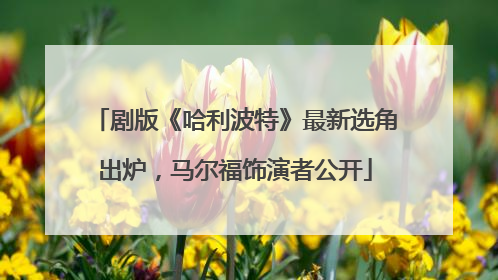 剧版《哈利波特》最新选角出炉，马尔福饰演者公开