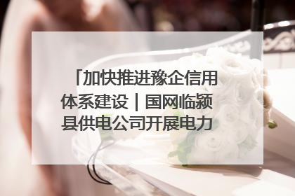 加快推进豫企信用体系建设｜国网临颍县供电公司开展电力行业信用企业现场咨询访谈工作