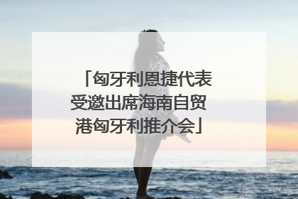 匈牙利恩捷代表受邀出席海南自贸港匈牙利推介会