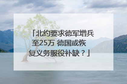 北约要求德军增兵至25万 德国或恢复义务服役补缺？